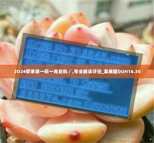 2O24管家婆一码一肖资料／,专业解读评估_盒装版DUH16.30