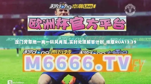 澳门芳草地一肖一码风肖是,实时处理解答计划_绝版RUA13.39