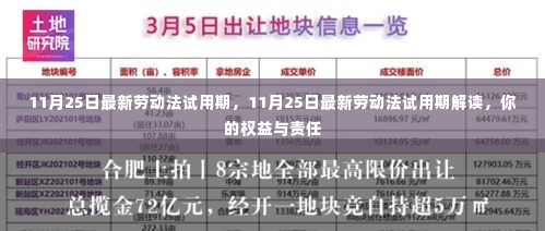 11月25日最新劳动法试用期解读，权益与责任一览