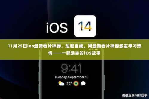 草间求活 第5页