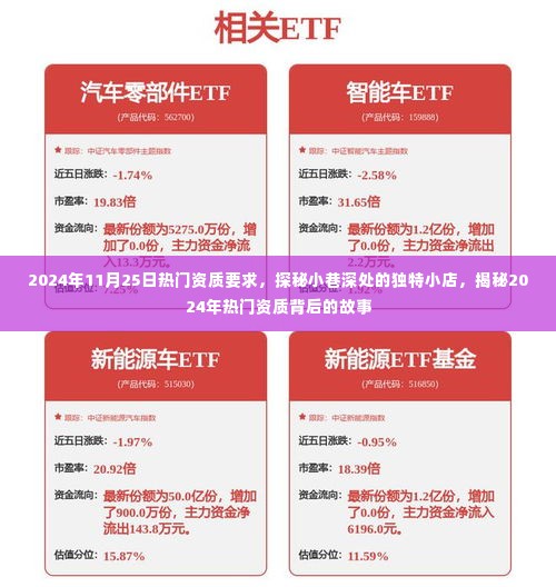 探秘小巷深处的独特小店，揭秘热门资质背后的故事与资质要求（日期，2024年11月25日）