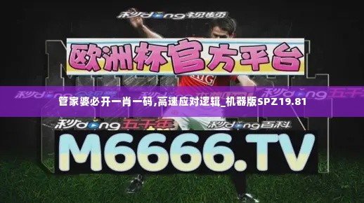 管家婆必开一肖一码,高速应对逻辑_机器版SPZ19.81