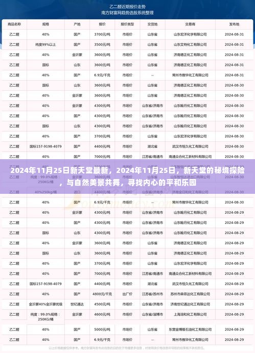 披沙拣金 第5页
