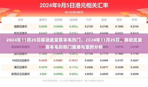 揭秘移动流量薅羊毛热门策略与案例分析，聚焦2024年11月25日