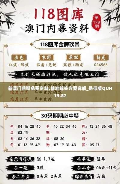 新澳门期期免费资料,精准解答方案详解_携带版QUH19.87