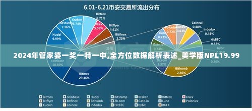 2024年管家婆一奖一特一中,全方位数据解析表述_美学版NPL19.99