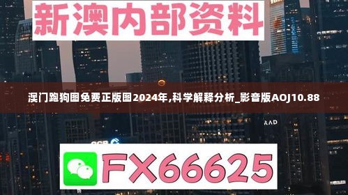 自作主张 第4页