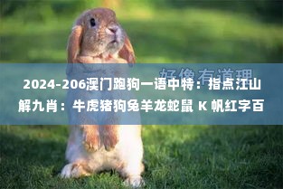 无独有偶 第5页