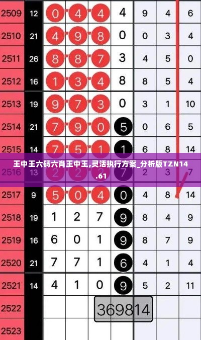 王中王六码六肖王中王,灵活执行方案_分析版TZN14.61