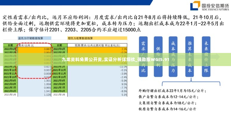 九龙资料免费公开资,实证分析详细枕_强劲版WGI5.91