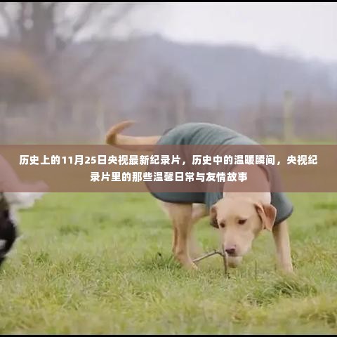鸟吏鼈官 第5页
