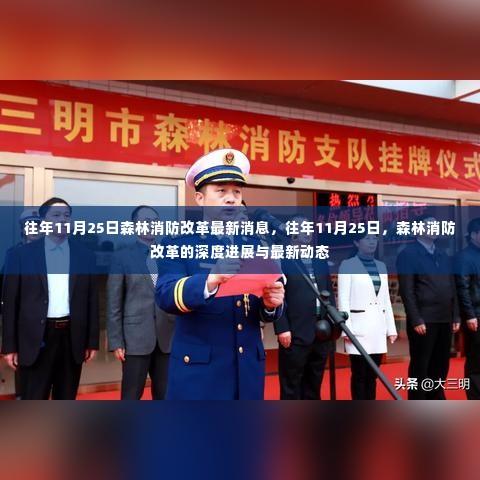 森林消防改革深度进展与最新动态（往年11月25日更新）