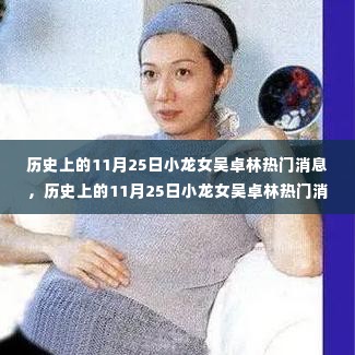 历史上的11月25日小龙女吴卓林热门消息回顾与深度解析