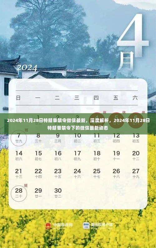 富贵不能淫 第5页