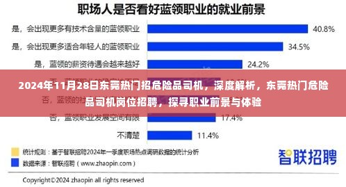 2024年东莞危险品司机招聘热潮，职业前景与体验深度解析