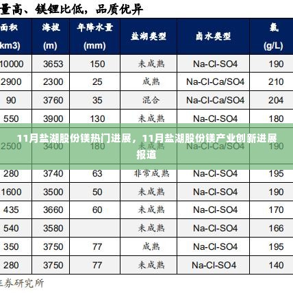 11月盐湖股份镁热门进展，11月盐湖股份镁产业创新进展报道