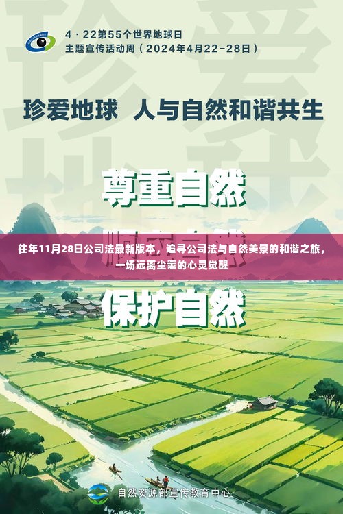 百鸟朝凤 第4页