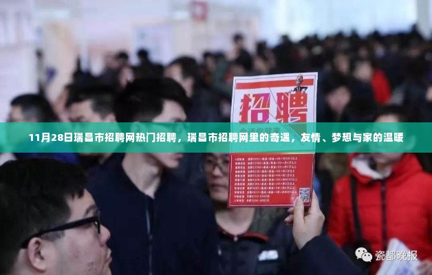 瑞昌市招聘网，遇见友情、梦想与家的温暖时刻的奇遇之旅