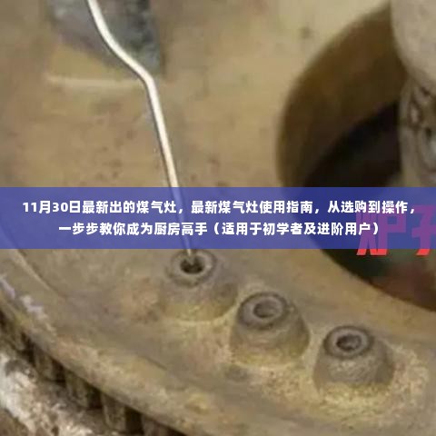 鸷鸟不群 第4页