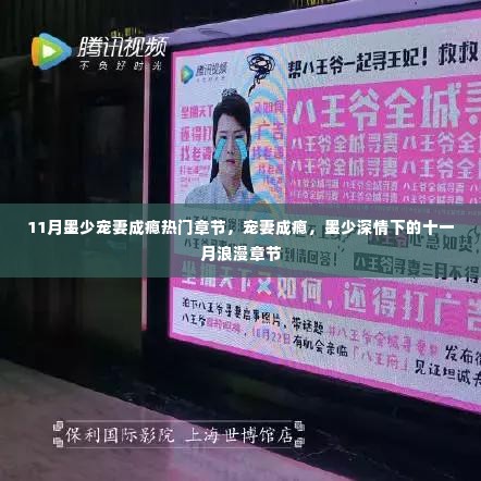 墨少深情宠妻成瘾，十一月浪漫章节的甜蜜宠溺
