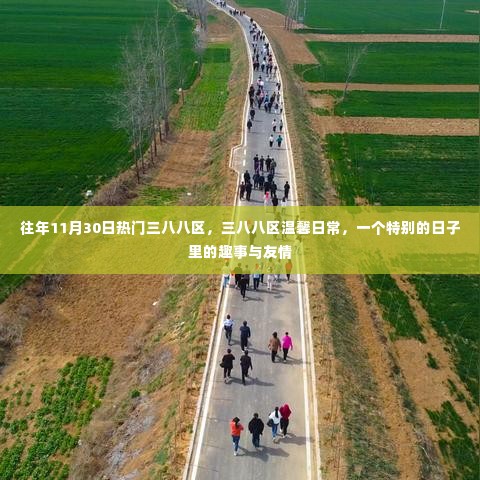 三八八区的温馨日常，特别日子的趣事与友情记录