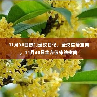 武汉日记，揭秘城市生活宝典，全方位体验指南（11月30日版）