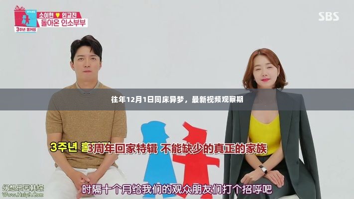 惊弦之鸟 第4页