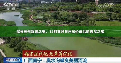 飞奇钩货 第4页