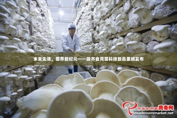 富贵功名 第4页