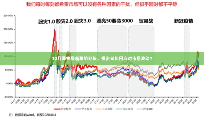 12月基金跌势分析，市场波动下投资者的应对策略