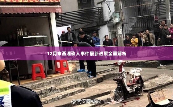 百鸟齐鸣 第4页
