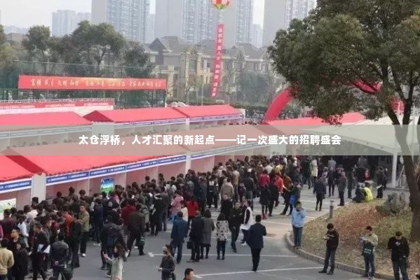 太仓浮桥，人才汇聚盛会启航新征程