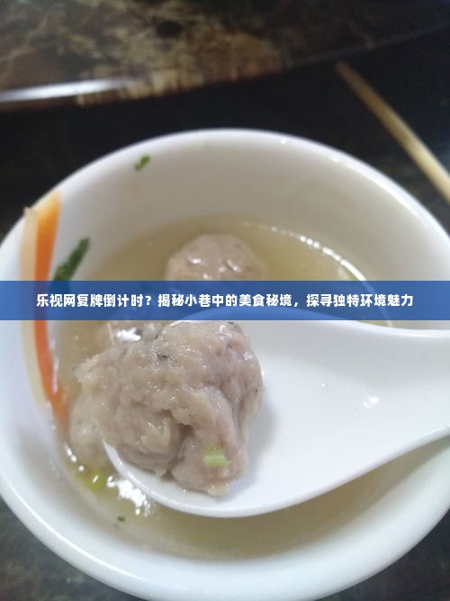 乐视网复牌倒计时与小巷美食秘境探寻，揭秘独特环境魅力