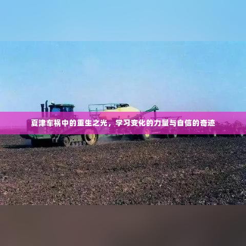 贵人善忘 第3页