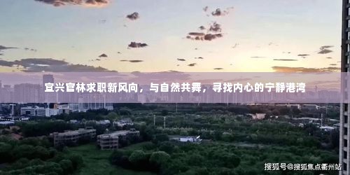 射飞逐走 第5页