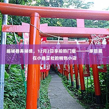 揭秘巷弄秘境，特色小店探秘与享拍热门版介绍——12月2日独家揭秘