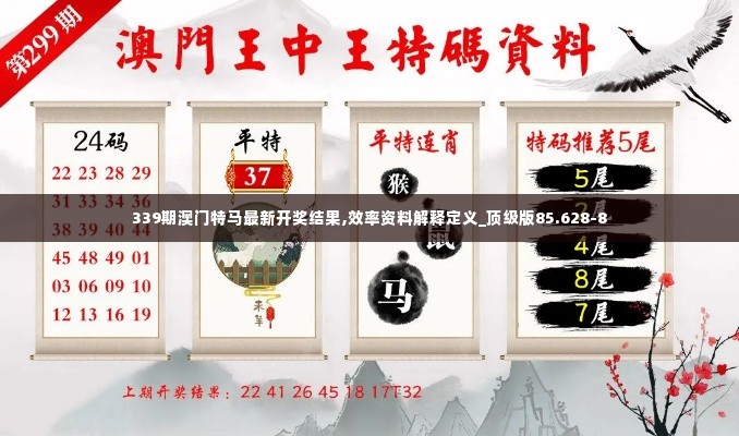 339期澳门特马最新开奖结果,效率资料解释定义_顶级版85.628-8