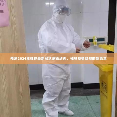 桂林疫情防控新篇章，预测未来冠状病毒动态展望至2024年