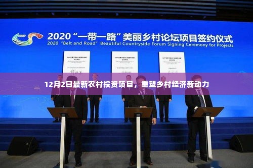 最新农村投资项目启动，重塑乡村经济活力