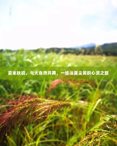 焚膏继晷 第4页