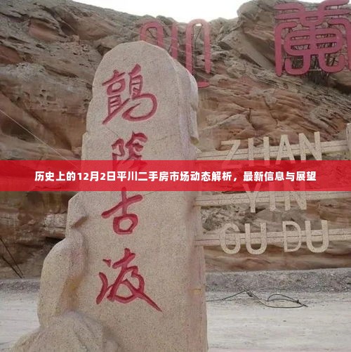 历史上的平川二手房市场动态解析，最新信息、展望与回顾（12月2日）