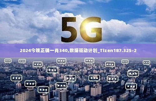 2024今晚正确一肖340,数据驱动计划_Tizen187.325-2
