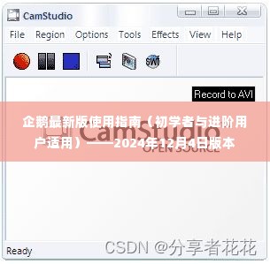 企鹅最新版使用指南（初学者与进阶用户适用）——全面解析2024年版本特色功能及操作技巧