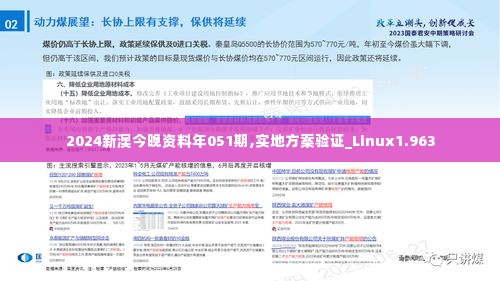 2024新澳今晚资料年051期,实地方案验证_Linux1.963