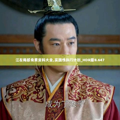 江左梅郎免费资料大全,实践性执行计划_HDR版8.647