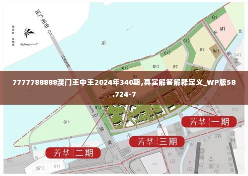 7777788888澳门王中王2024年340期,真实解答解释定义_WP版58.724-7