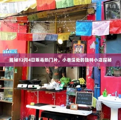 揭秘，小巷深处的独特小店暗藏贩毒热点，探秘12月4日毒品交易内幕