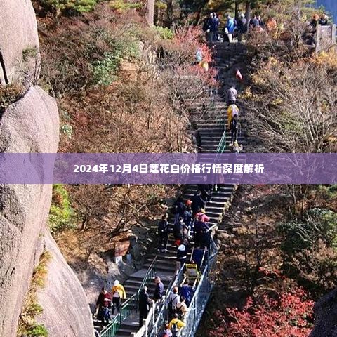 娇小玲珑 第4页