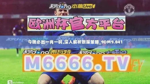 今晚必出一肖一码,深入解析数据策略_9DM9.841