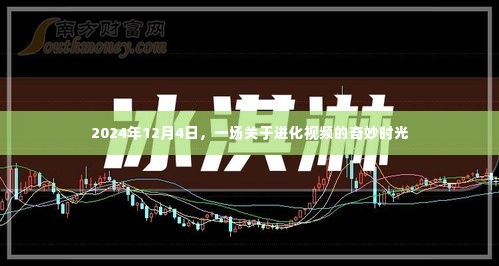 进化视频奇妙时光，探索未来的进化之旅